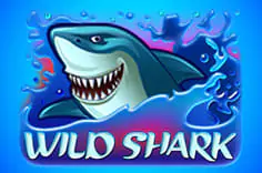 Wild Shark Wild Shark